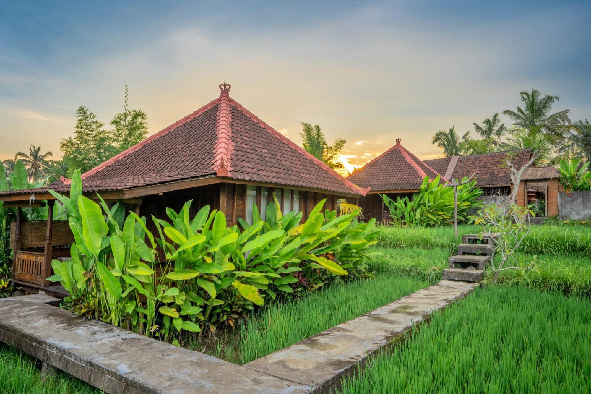 Ubud Sawah Scenery Villa And Homestay Tegallalang  Dış mekan fotoğraf