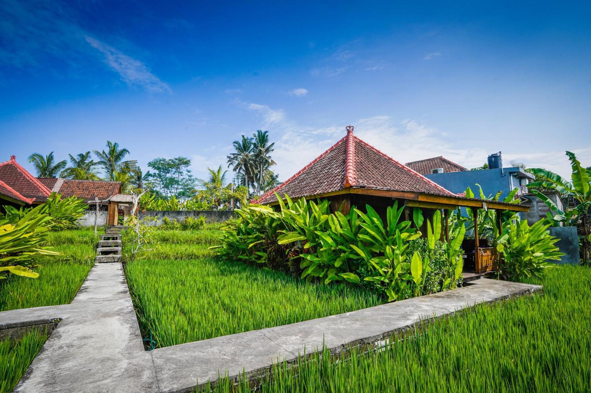 Ubud Sawah Scenery Villa And Homestay Tegallalang  Dış mekan fotoğraf