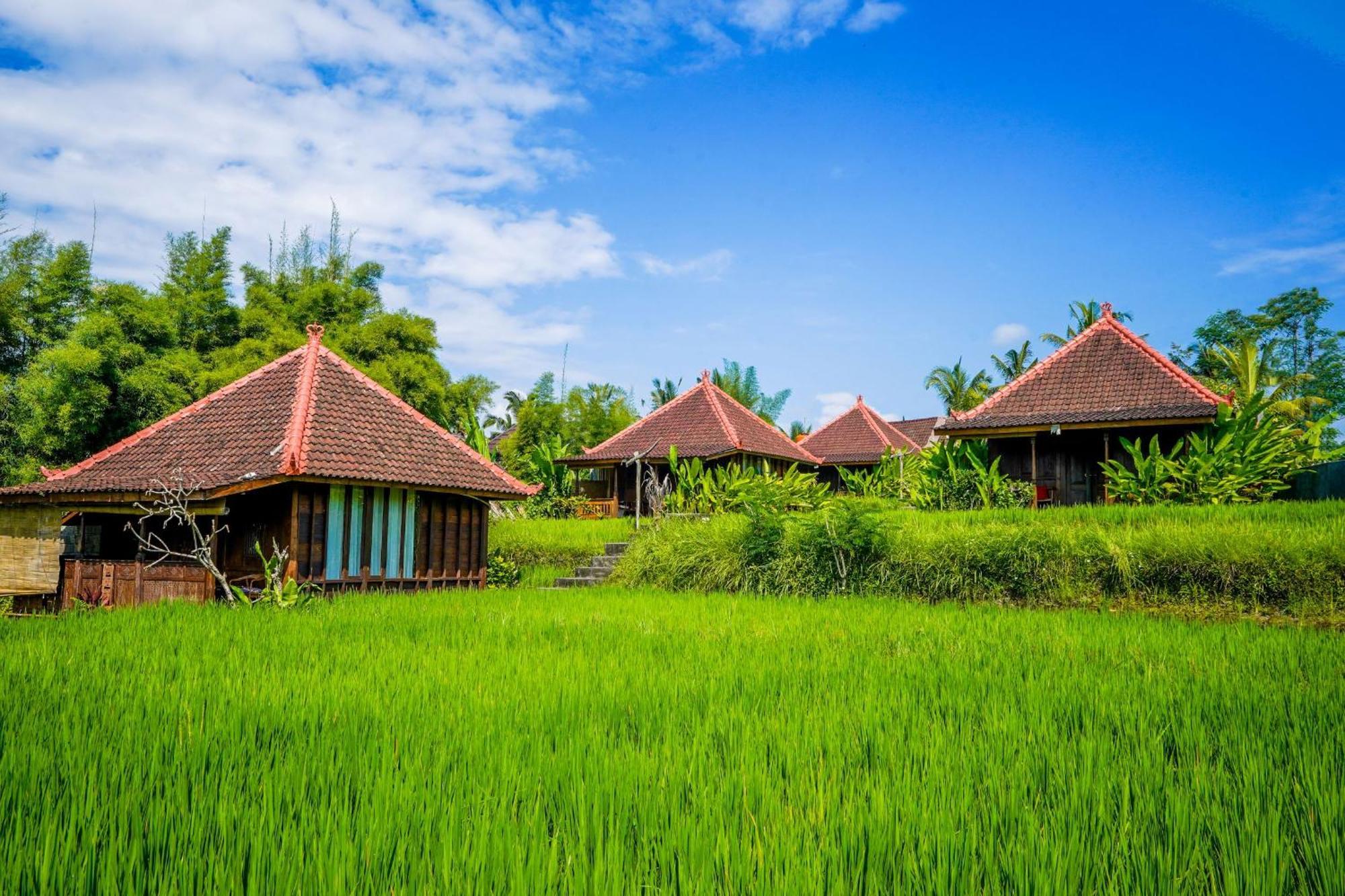 Ubud Sawah Scenery Villa And Homestay Tegallalang  Dış mekan fotoğraf