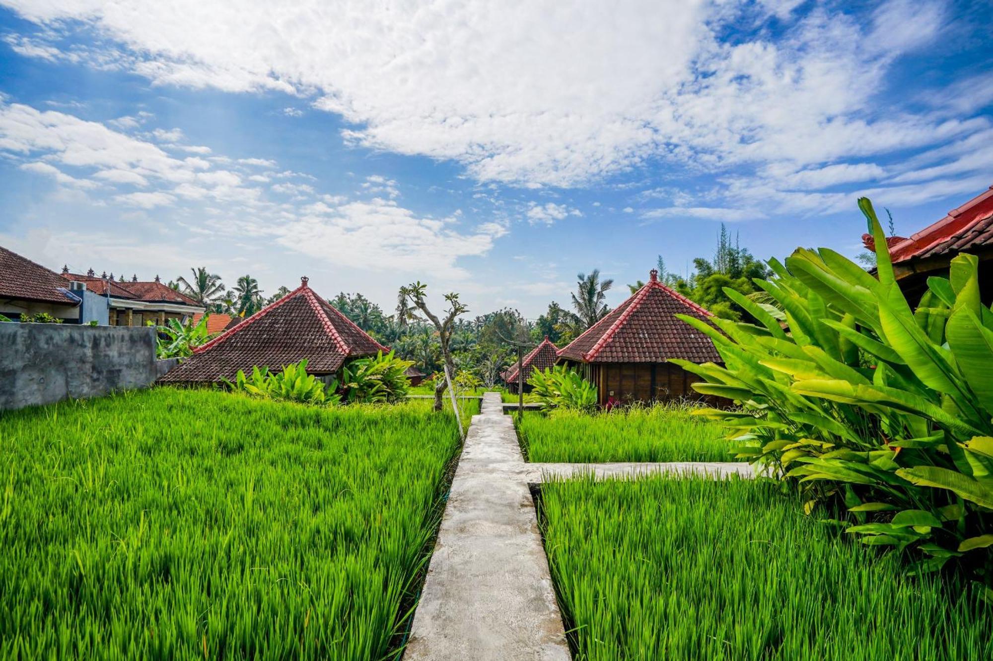 Ubud Sawah Scenery Villa And Homestay Tegallalang  Dış mekan fotoğraf